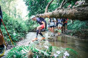 BIB: 
                            <button type="button" onclick="openModal(25468806)" class="btn btn-primary btn-sm float-right btn-popup" data-toggle="modal" data-target=".modal-high-quality">
                        <i class="fas fa-shopping-cart"></i> Add to Cart
                    </button>
                                            <button type="button" onclick="isThisMe(25468806, true)" class="btn btn-success btn-sm float-right btn-popup btn-isme hidden" data-toggle="tooltip" data-placement="bottom" title="นี่คือรูปของคุณใช่ไหม คลิกที่นี่เพื่อเอาเข้าอัลบั้ม">
                        <i class="fas fa-plus"></i> Add to album
                    </button>
                    <button type="button" onclick="isThisMe(25468806, false)" class="btn btn-warning btn-sm float-right btn-popup btn-isnotme hidden">
                        <i class="fas fa-ban"></i> Remove from album
                    </button>